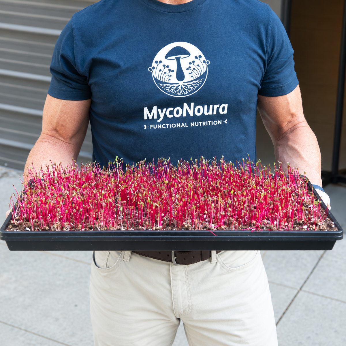 Beet Microgreens + Beet Root Powder