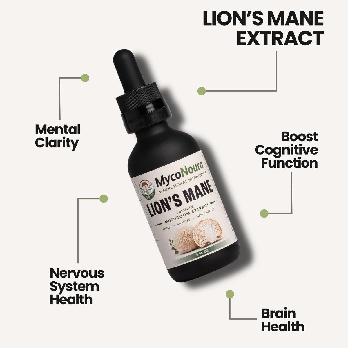 Lion's Mane Tincture benefits and quality claims